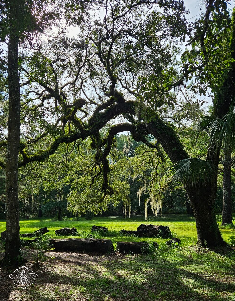 New York, Travel, Campgrounds In Brooksville, Florida &ndash; Unique Camping Experience At Honey Bee Ranch