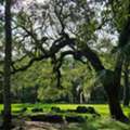 Campgrounds In Brooksville, Florida &ndash; Unique Camping Experience At Honey Bee Ranch
