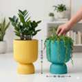 INR 599, Shop Pots For Home Decor Online