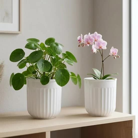 Mumbai, Farm & Garden, INR 599,  Shop Pots For Home Decor Online