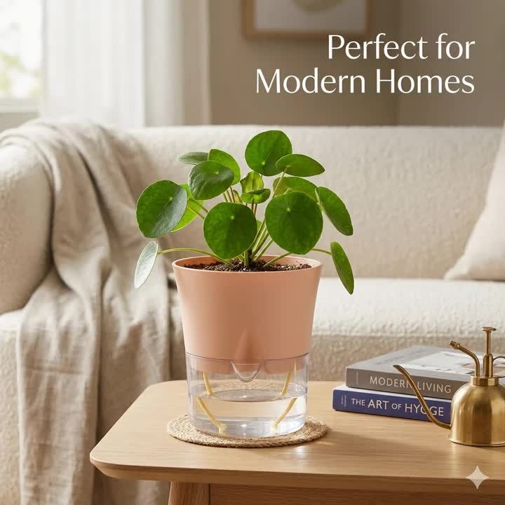 Mumbai, Farm & Garden, INR 599,  Shop Pots For Home Decor Online