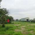 THB 45036000,  6 BR,  4403 Sq. Feet,  ขายที่ดินศรีราชา หนองขาม แปลงสวย 
