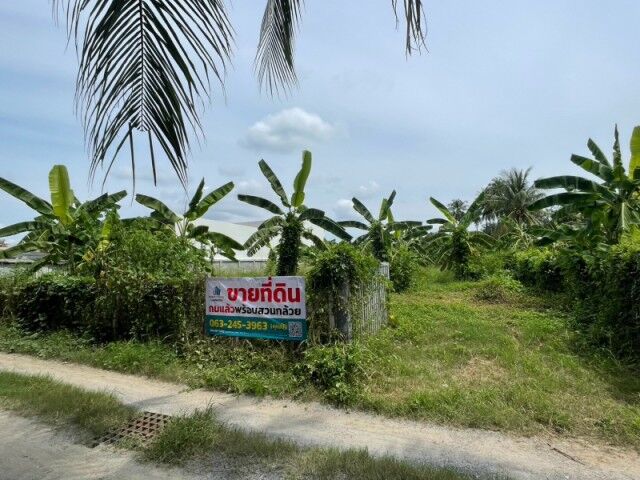 Bangkok, Real Estate For Sale, THB 1900000,  6 BR,  189 Sq. Feet,  ขายที่ดิน แปลงสวยถมแล้ว ต.บ้านลาด 