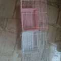 SAR 75,  Bird Cages For Sale. Small, Medium And Large Size With Partition Cage Available
