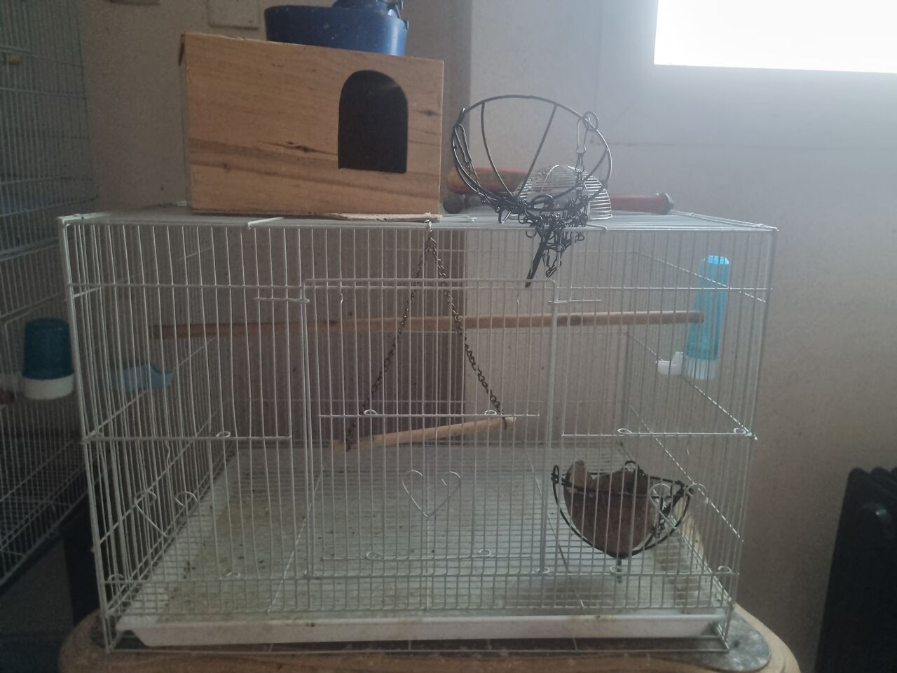 Al Thuqbah, Pet Supplies, SAR 75,  Bird Cages For Sale. Small, Medium And Large Size With Partition Cage Available