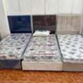 Single Beds Available In Multiple Designs And Colors