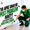 🟩 Pest Control Jubail • Cockroach • Ant 🟩 Bed Bug & Termite Treatment 050 594 2604.::