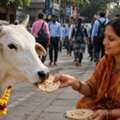 Support Gau Seva & Protect Cows