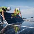 Solar Plant Genaral Helper 1800+free Food