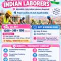 Need Indian Labours