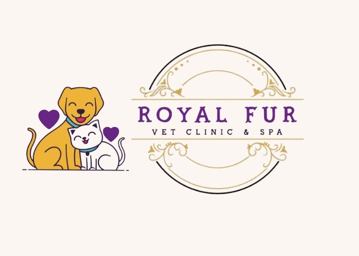 Kolkata, Pet Adoption, Pet Diagnostics And Pathology Lab Services In Kolkata