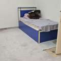 SAR 1000/month,  Bedspace Or A Full Room Available From 1st November.