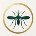 Mold Testing Dallas