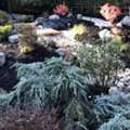 Residential Landscaping In Everett