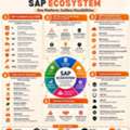 Check Whether The Curriculum Covers Relevant SAP S/4HANA Concepts