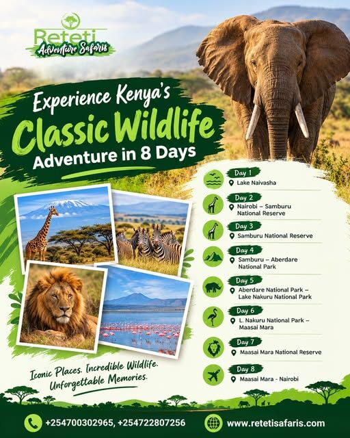 Nairobi, Travel, Explore The Best Wildlife Destinations In Tanzania And Kenya