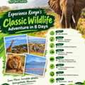 Explore The Best Wildlife Destinations In Tanzania And Kenya