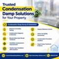 Reliable Condensation Damp Treatment Services
