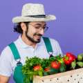 Fastest Growing Vegetables At Home In India