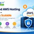 Managed AWS Hosting In India &ndash; Secure & Scalable