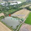 THB 3390000,  6 BR,  3999 Sq. Feet,  ราคาพิเศษ ขายด่วนมาก ที่ดิน 9-3-99.5 ไร่ ด
