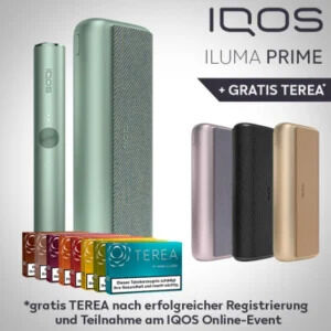 International City, Business, IQOS ILUMA TEREA In Dubai | Vap Dubai Shop