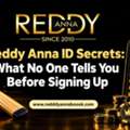 Reddy Anna ID Secrets: What No One Tells You Before Signing Up