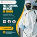 Same-Day Pest Control Services In Rohini