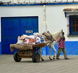 New York, Travel, Book Your Cairo To Alexandria Car Journey Today