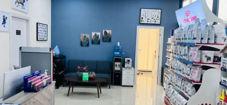 Dubai, Pet Adoption, Complete Veterinary Care For Your Pets In Dubai | Happy Tails