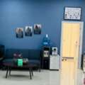 Complete Veterinary Care For Your Pets In Dubai | Happy Tails