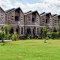 New Year Celebration Packages | Jim Corbett Getaway