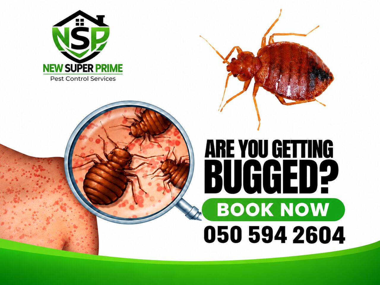 Al Mutrafiah, Pest Control, Bed Bug Treatment Jubail 🟩 Bedroom • Mattress Pest Control 🟩 050 594 2604::-