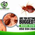 Bed Bug Treatment Jubail 🟩 Bedroom • Mattress Pest Control 🟩 050 594 2604::-