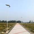 INR 6000,  Solar Street Light Manufacturer In Maharashtra | Outdoor Lighting Solutions