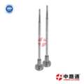 CNY 12,  Common Rail Injector Valve F00V C01 329