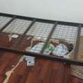 SAR 100,  Single Bed With Mattress For 100 SAR