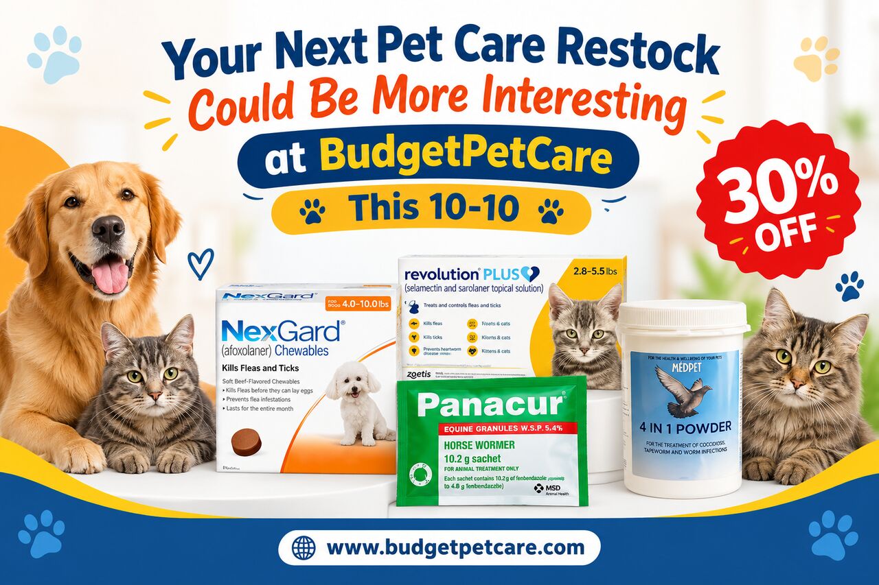 New York, Pet Supplies, Your Next Pet Care Restock Could Be More Interesting At BudgetPetCare This 10-10