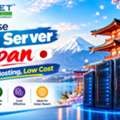 Purchase VPS Server Japan: Strong Hosting, Low Cost