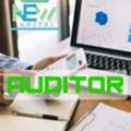 Auditor & Taxation