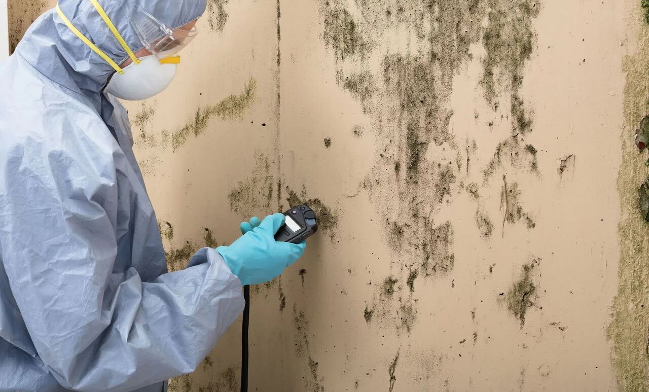 New York, Household, Expert Mold Testing Support For Mold Inspection In Sacramento