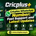 Cricplus WhatsApp Number: Fast Support And Latest Updates