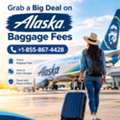 Grab A Big Deal On Alaska Baggage Fees +1-855-867-4428