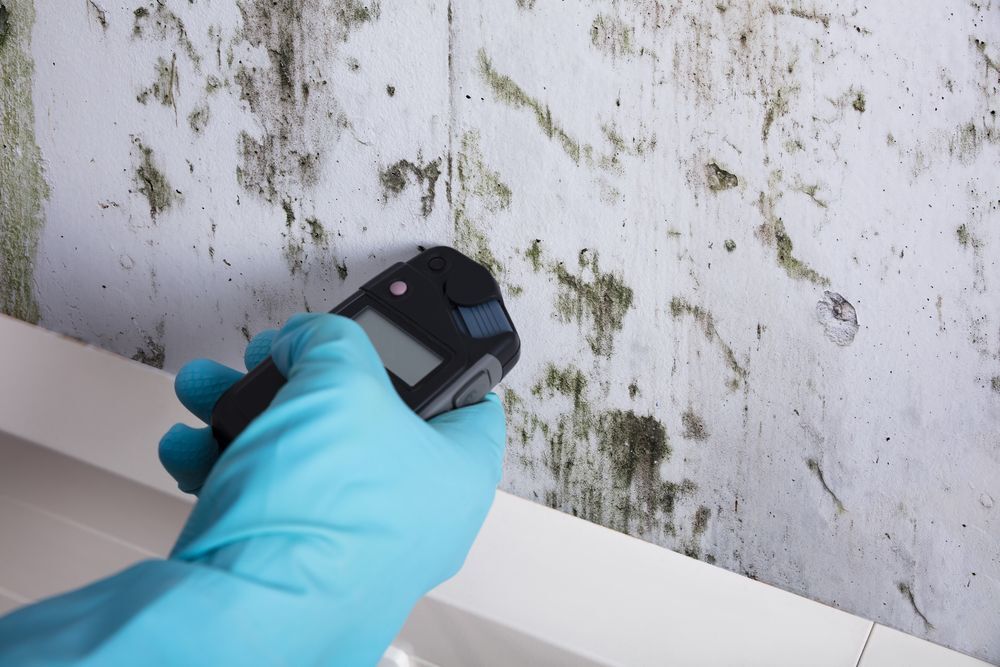 New York, Household, Reliable Home Mold Testing Services Mold Inspection In Redding CA