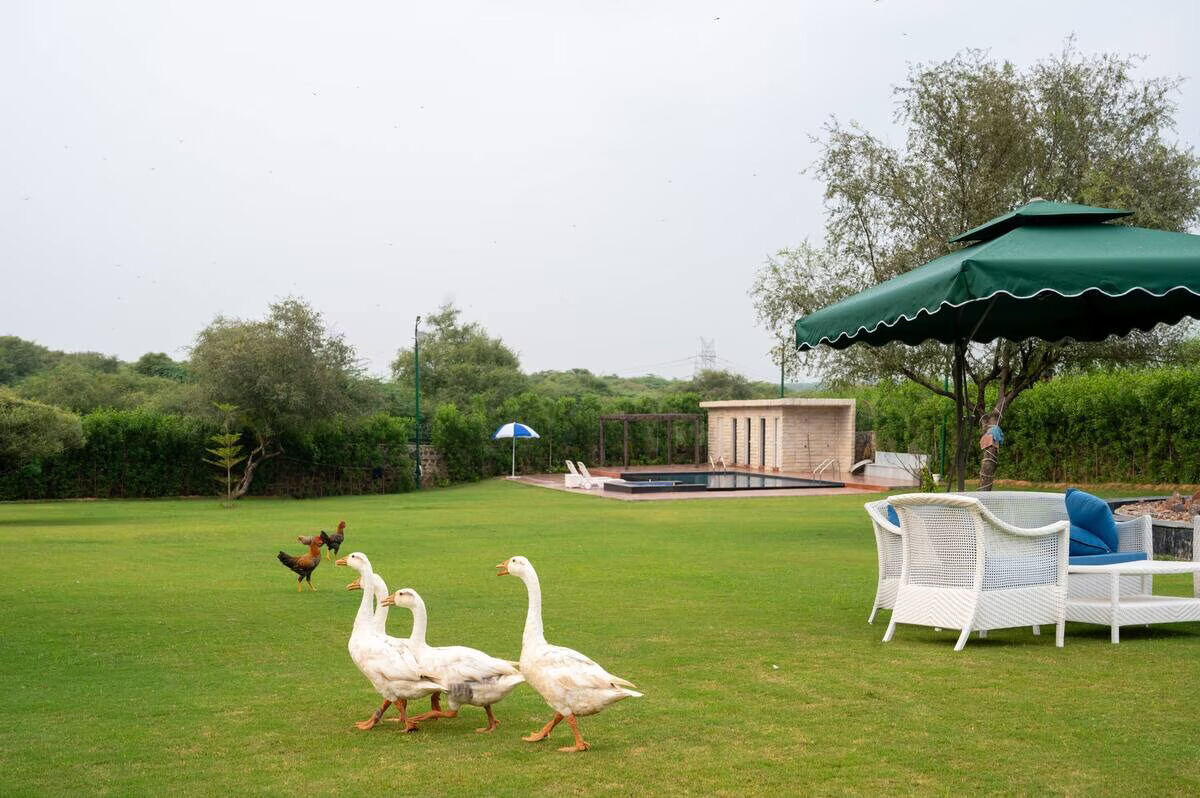 Jaipur, Agricultural Land, INR 10000000,  1250 Sq. Yard,  Best Farmhouse Plots In Naugaon For Buyers