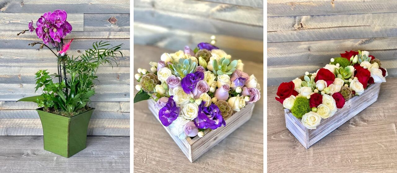 New York, Creative, Make Every Celebration Bloom With The Best Florist In Redwood City