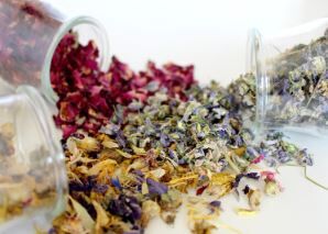London, Health, Natural Endobiogenic Medicine In UK By Naturopath Tina