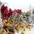 Natural Endobiogenic Medicine In UK By Naturopath Tina