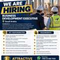 BUSINESS DEVELOPMENT EXECUTIVE