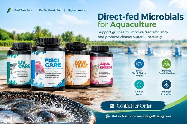 New York, Farm & Garden, USD 50,  Looking For Feed & Gut Support? Choose Direct-fed Microbials For Aquaculture &ndash; Enquire Now